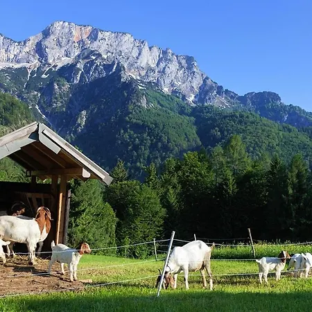 Berghof Lippenlehen Farmház Marktschellenberg